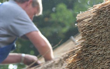 professional Woll thatchers